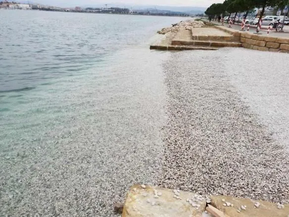 公寓 Apartmaji Ema *